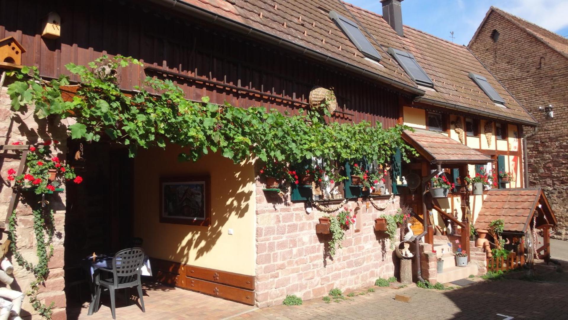 Gite Le Petit Moulin Rosenwiller Exteriör bild