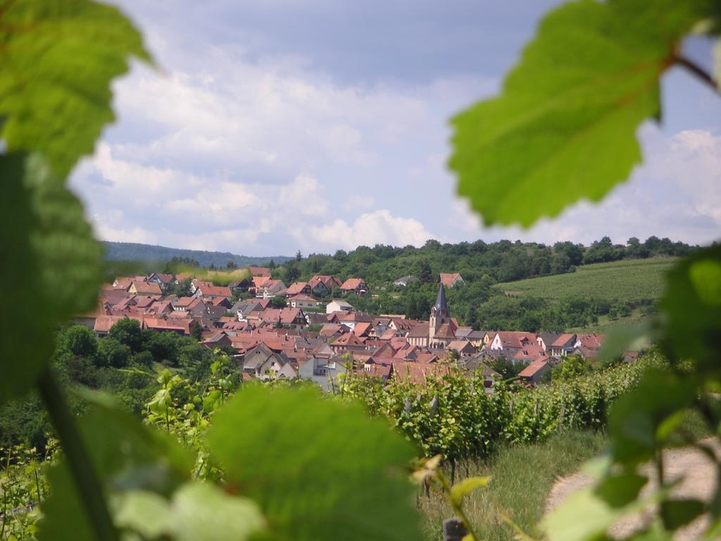 Gite Le Petit Moulin Rosenwiller Exteriör bild
