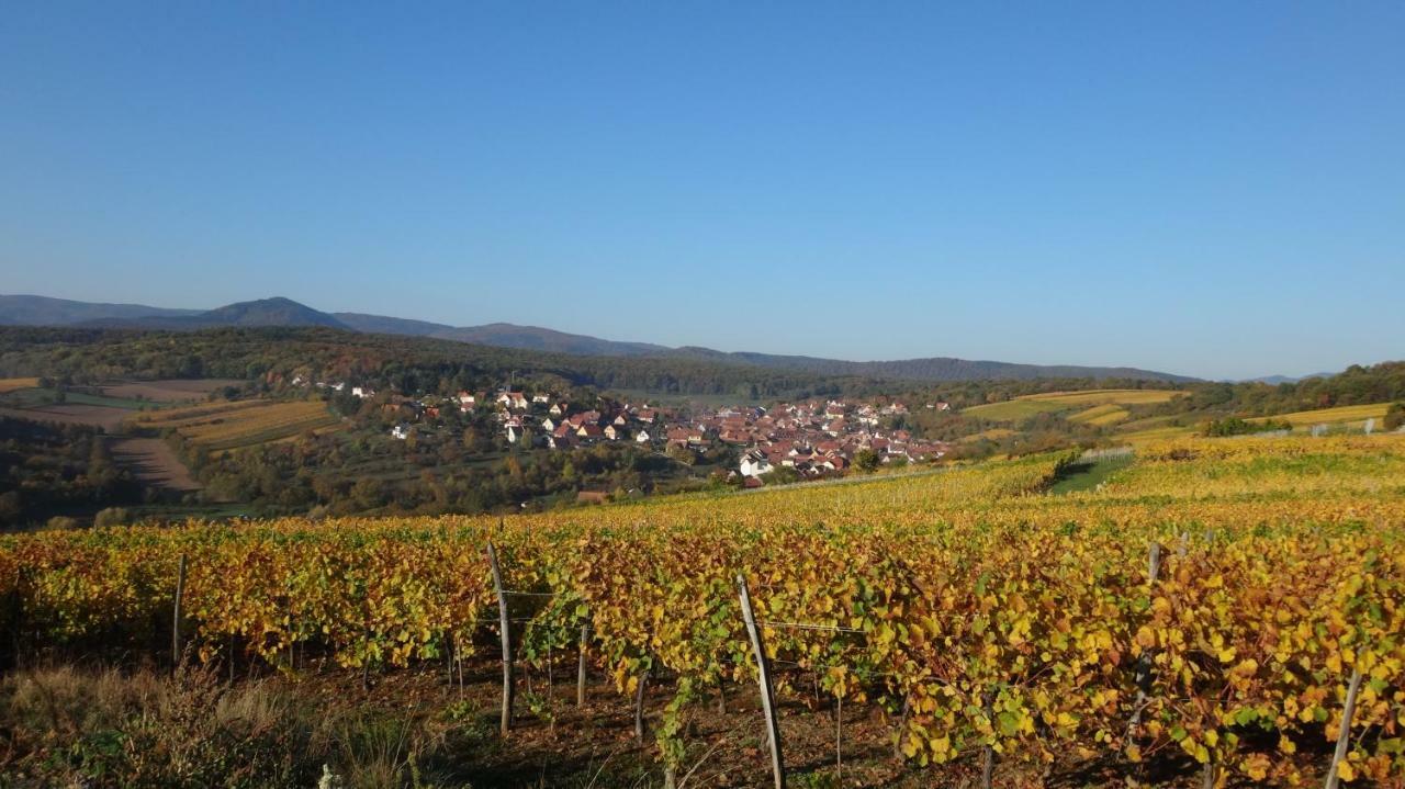 Gite Le Petit Moulin Rosenwiller Exteriör bild