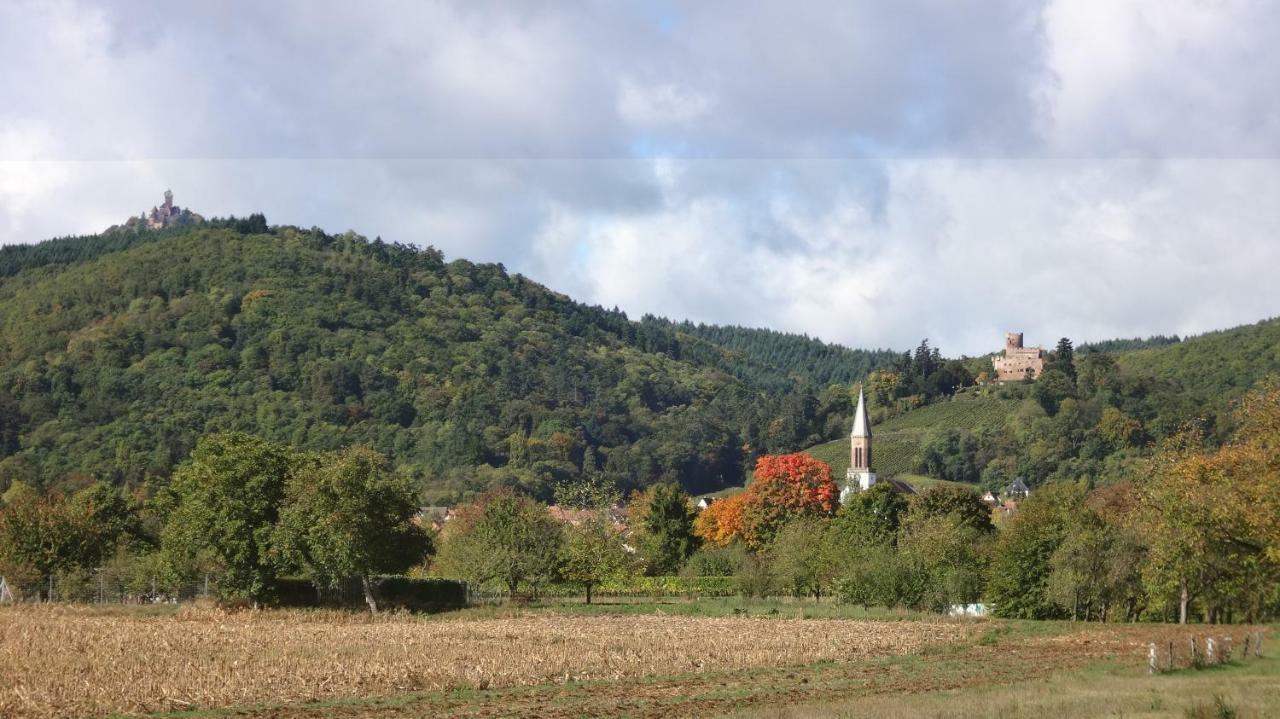 Gite Le Petit Moulin Rosenwiller Exteriör bild