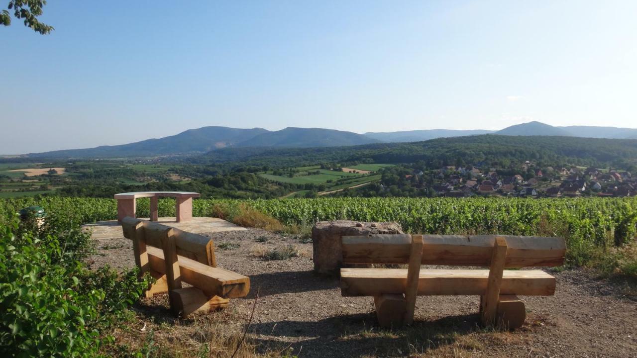 Gite Le Petit Moulin Rosenwiller Exteriör bild