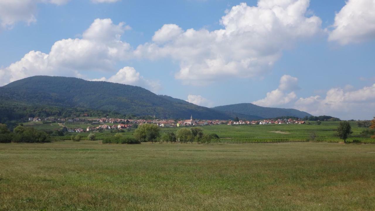 Gite Le Petit Moulin Rosenwiller Exteriör bild