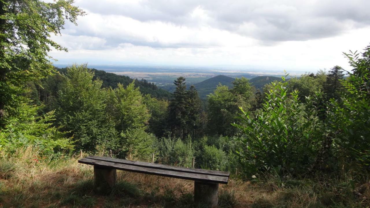 Gite Le Petit Moulin Rosenwiller Exteriör bild