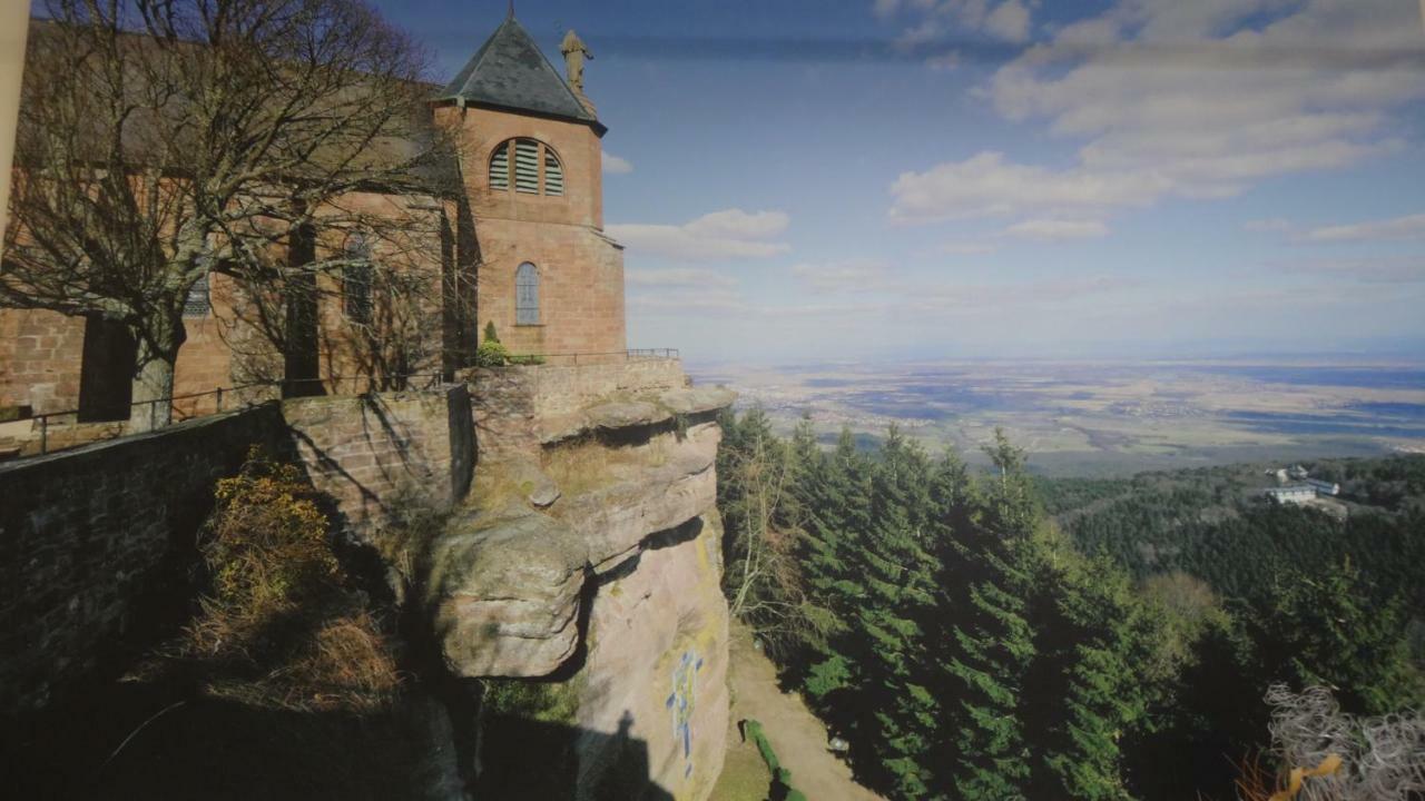 Gite Le Petit Moulin Rosenwiller Exteriör bild