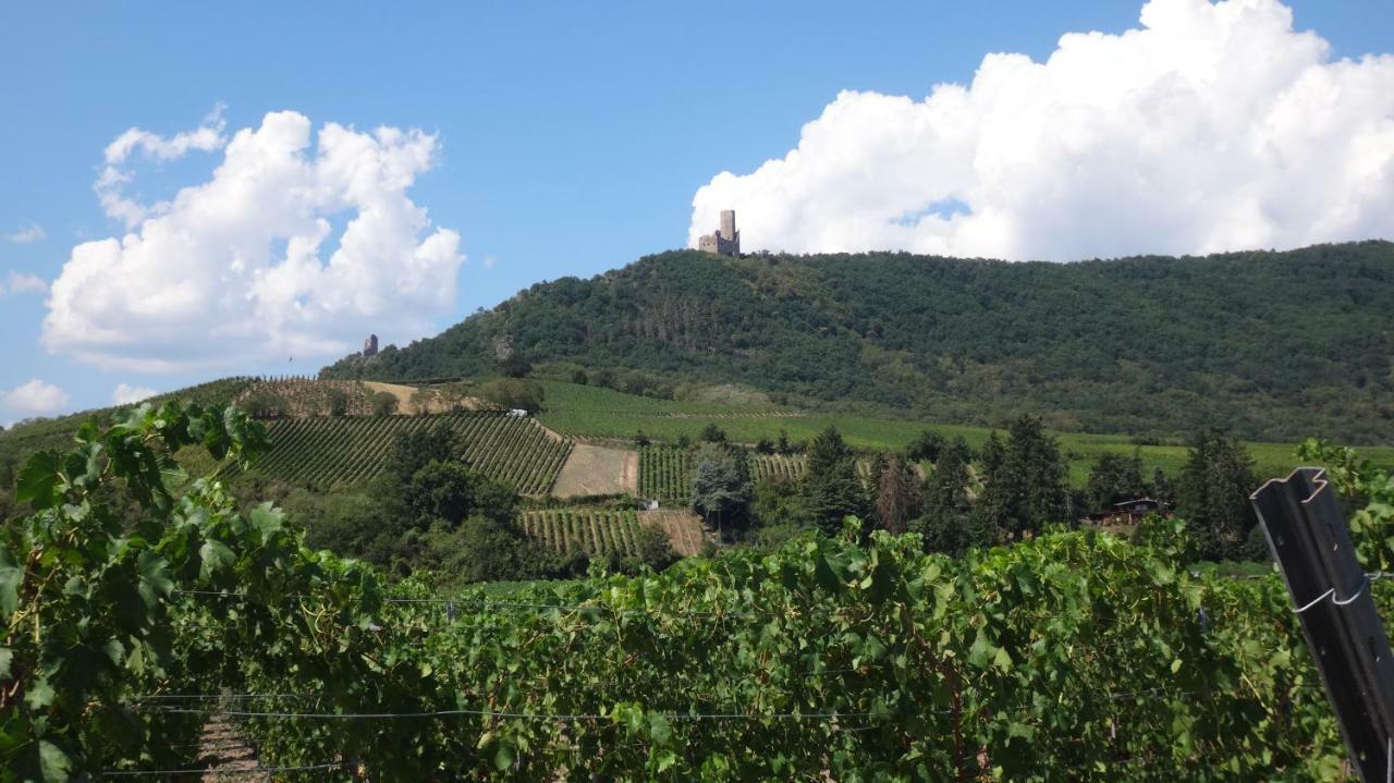 Gite Le Petit Moulin Rosenwiller Exteriör bild