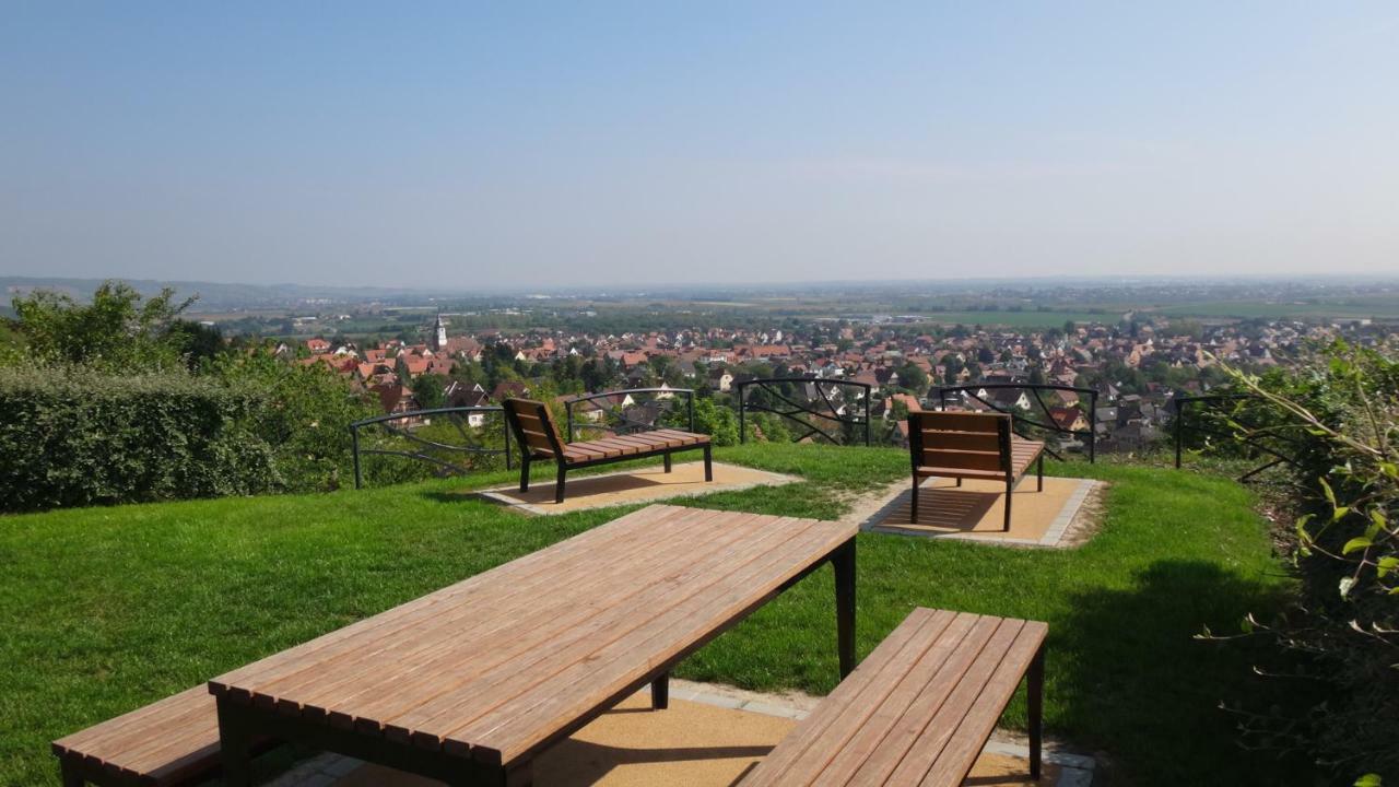 Gite Le Petit Moulin Rosenwiller Exteriör bild